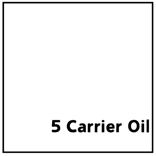 5 Carrier Oil Product vendor