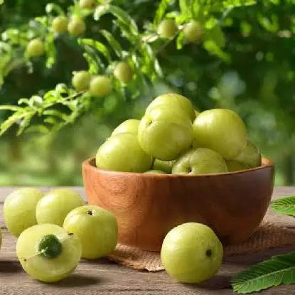 Amla Fruit Extract - Phyllanthus emblica Product vendor