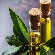 Bay Leaf Oil - Laurus nobilis Product vendor
