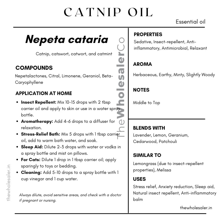 Catnip Oil - Nepeta cataria Product vendor