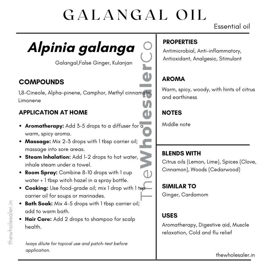 Galangal Oil - Alpinia galanga Product vendor