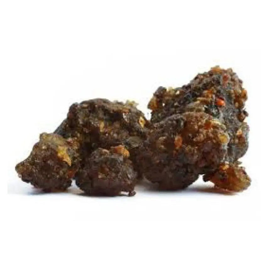 Guggul Liquid Extract - Commiphora wightii Product vendor