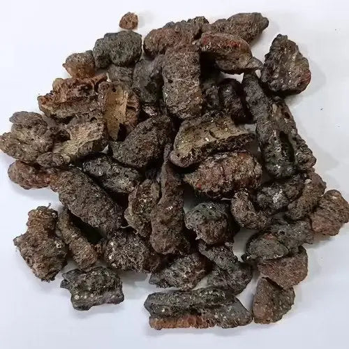 Lakh Pipal - Lakh Peepal - Ficus Religiosa - Shellac Lac - Lakh Kachli | TheWholesalerCo