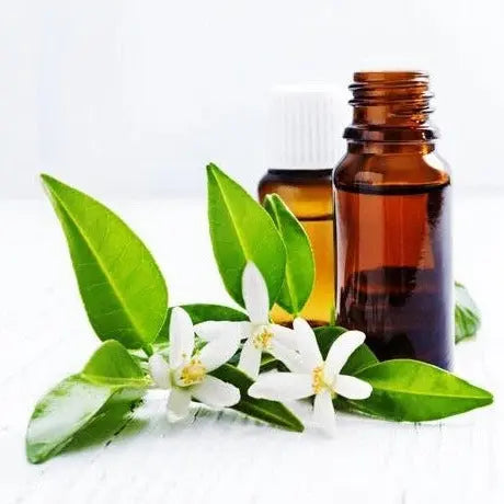 Neroli Oil - Citrus aurantium Product vendor