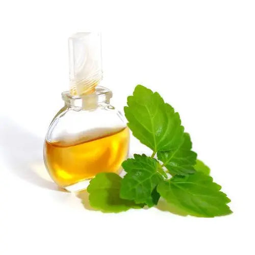 Patchouli Oil - Pogostemon cablin Product vendor