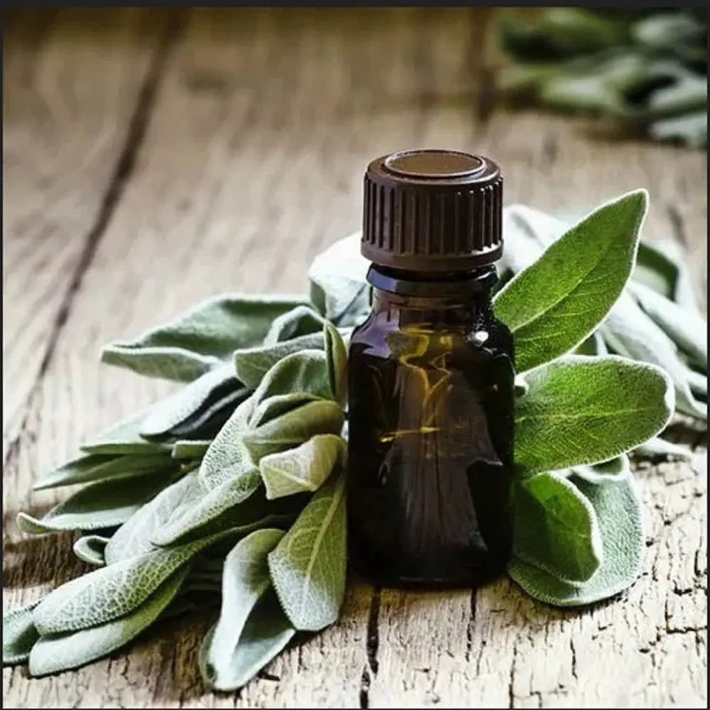 Sage Oil - Salvia officinalis Product vendor