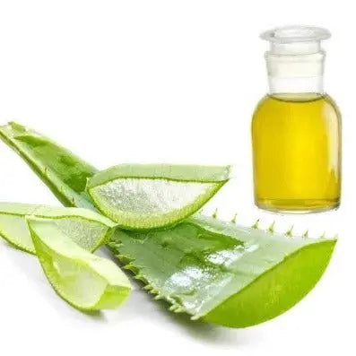 Aloe Vera Oil - Aloe vera Product vendor