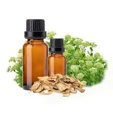 Angelica Oil - Angelica Archangelica Product vendor