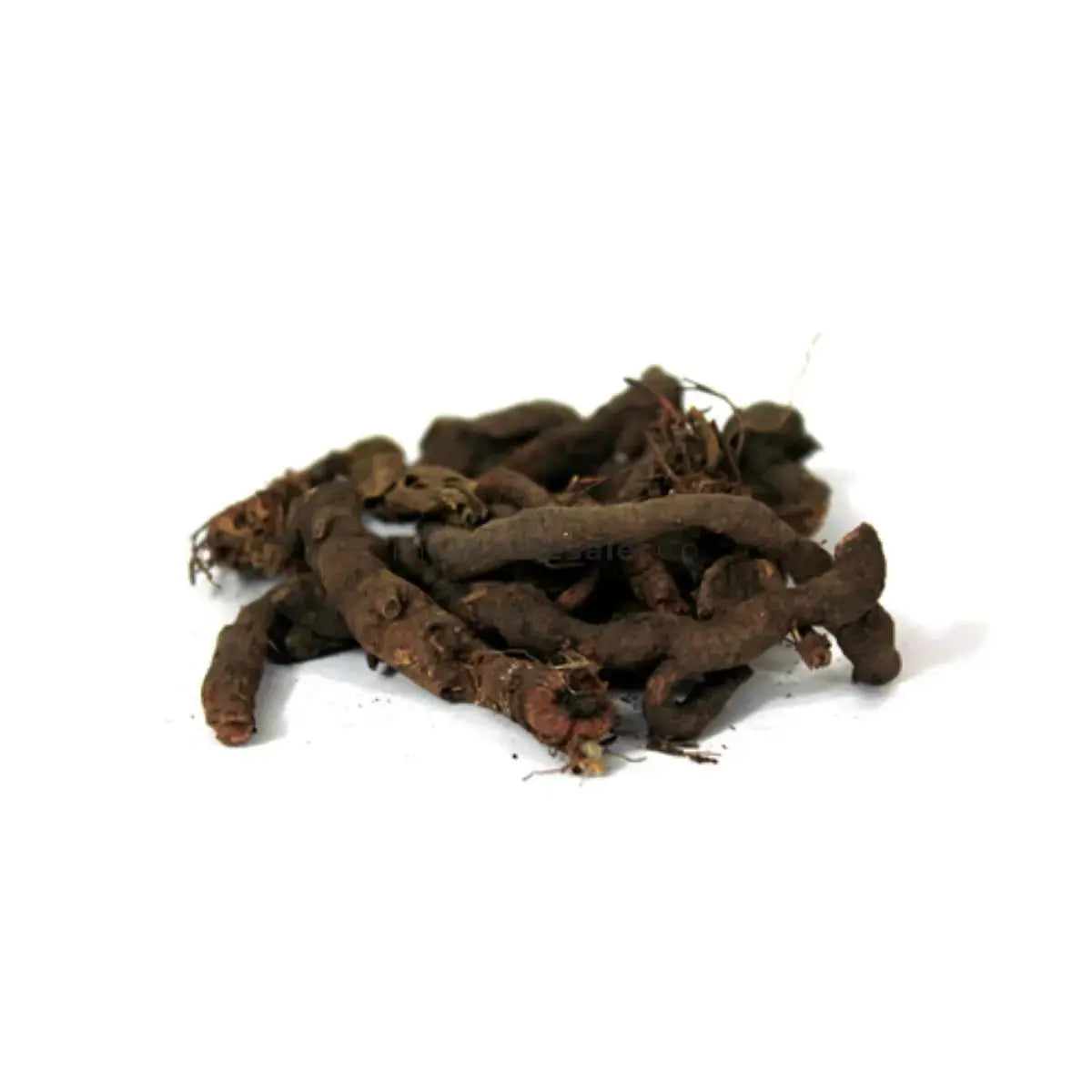 Anjbar, Cut - Polygonum Viviparum – TheWholesalerCo UK