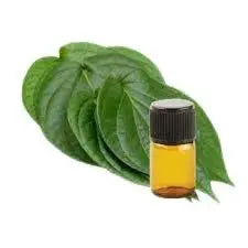 Betel leaf Oil - Piper betle Product vendor