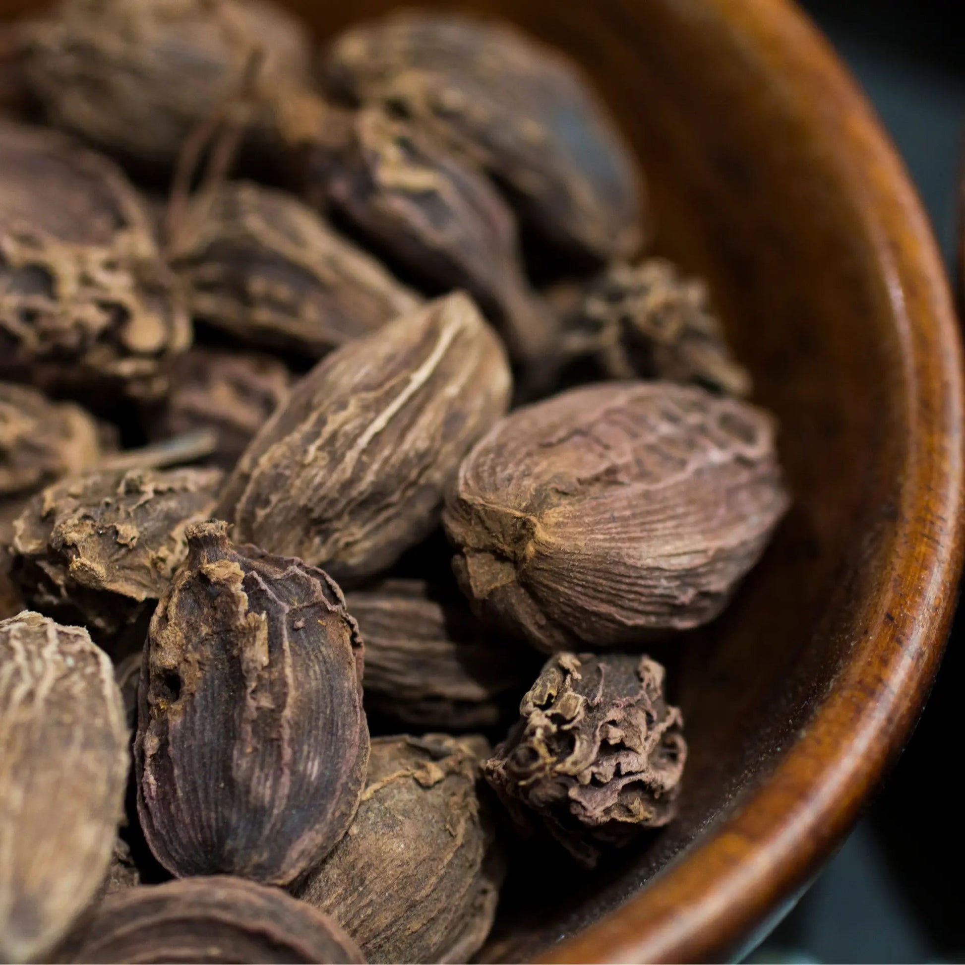 Black Cardamom Extract - Amomum subulatum Roxb Product vendor