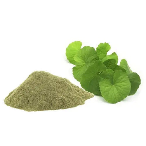 Brahmi Extract - Bacopa Monnieri Product vendor