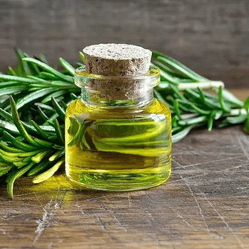 Calamus Oil - Acorus calamus Product vendor