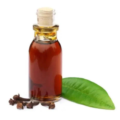 Clove Leaf Oil - Syzygium aromaticum Product vendor