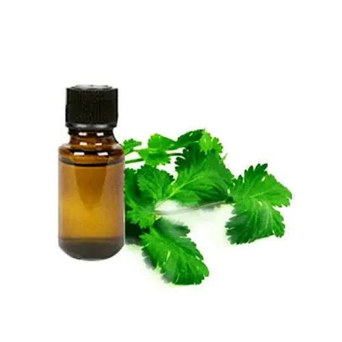 Coriander Leaf Oil - Coriandrum sativum Product vendor