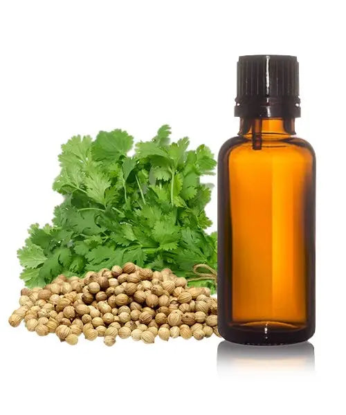 Coriander Oil - Coriandrum sativum Product vendor