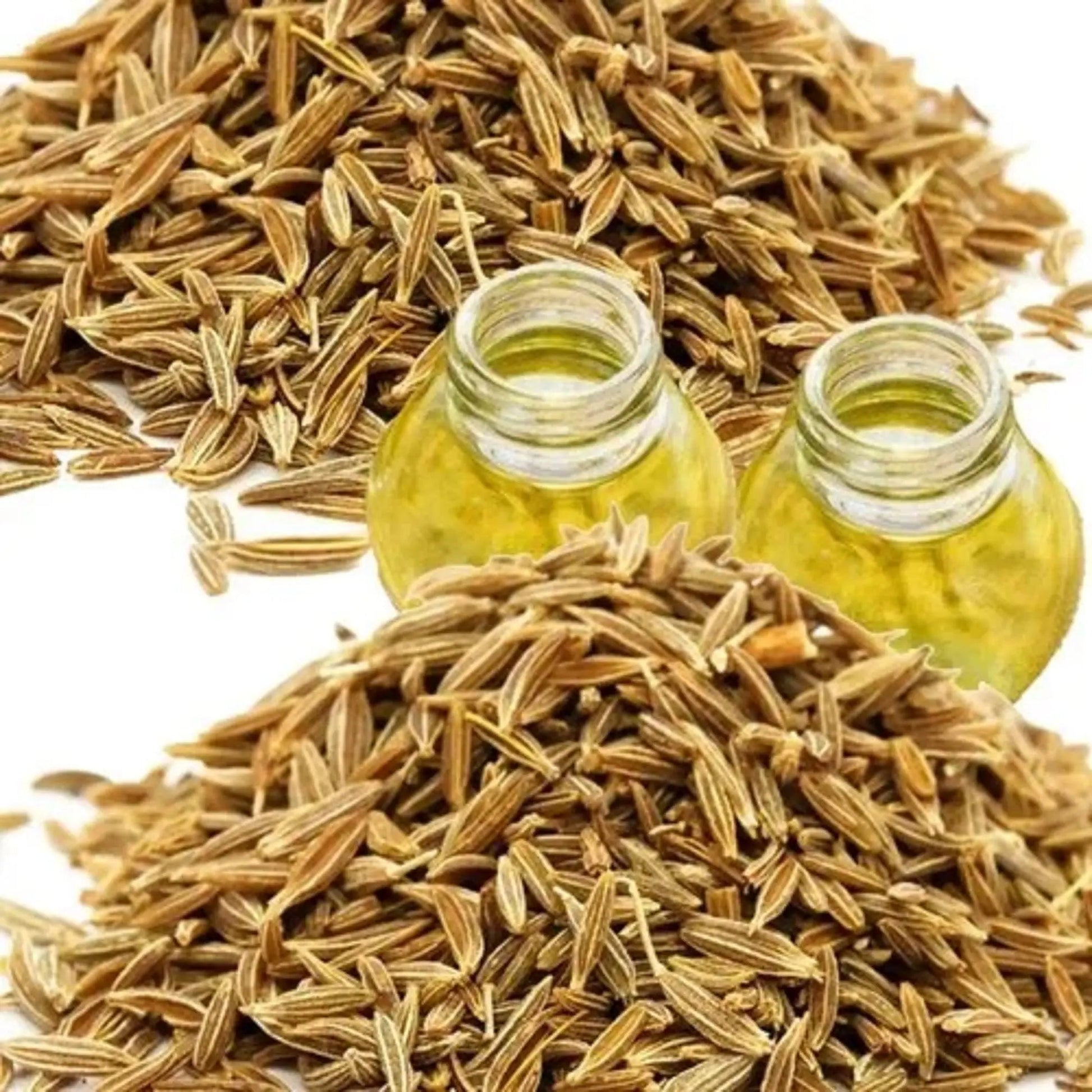 Cumin Oil - Cuminum cyminum Product vendor