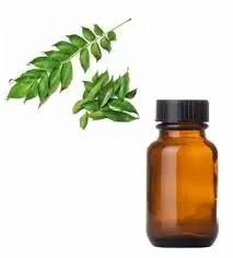 Curry Leaf Oil - Murraya koenigii Product vendor