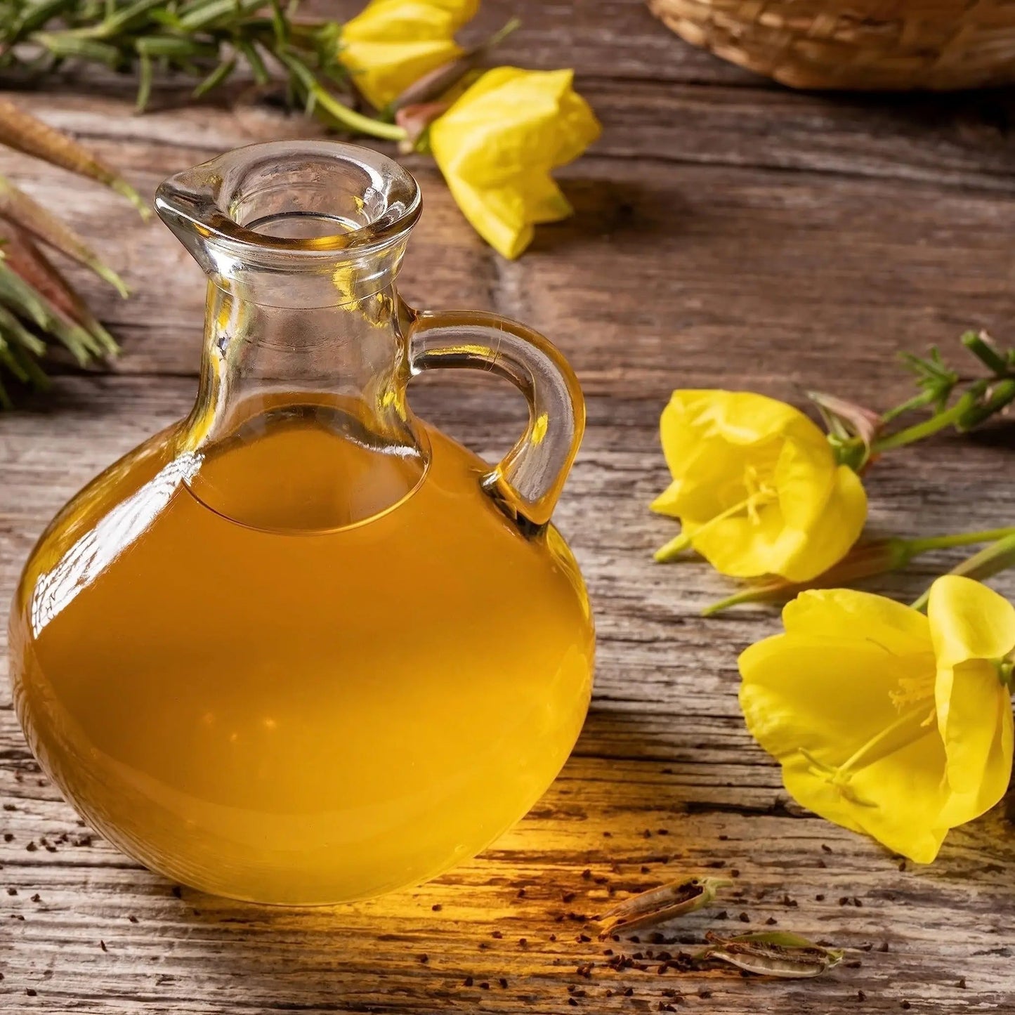 Evening Primrose Oil - Oenothera biennis Product vendor