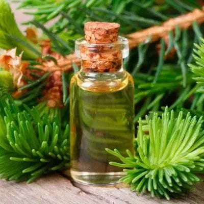 Fir Needle Oil - Abies alba Product vendor