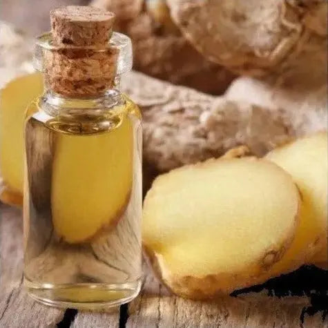 Galangal Oil - Alpinia galanga Product vendor