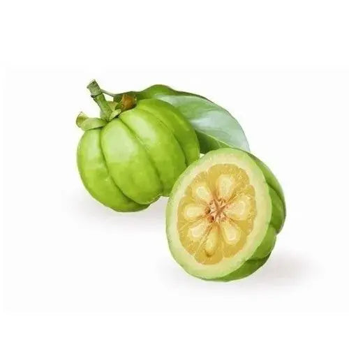 Garcinia Cambogia Liquid Extract Product vendor