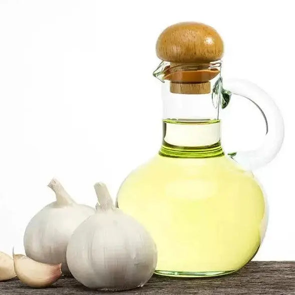 Garlic Oil - Allium sativum Product vendor