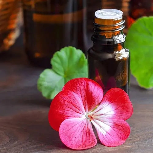 Geranium Oil - Pelargonium graveolens Product vendor