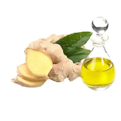 Ginger Oil - Zingiber officinale Product vendor