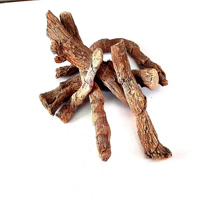 Gudbach Liquid Extract - Acorus Calamus Product vendor