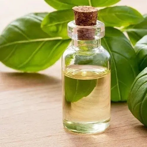 Holy Basil Oil - Ocimum Sanctum Product vendor