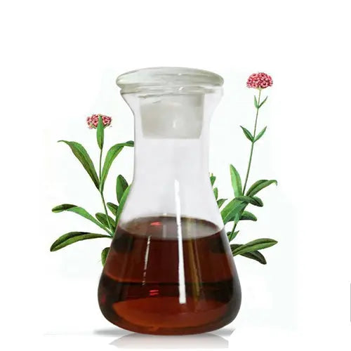 Jatamansi Oil - Spikenard - Nardostachys jatamansi Product vendor