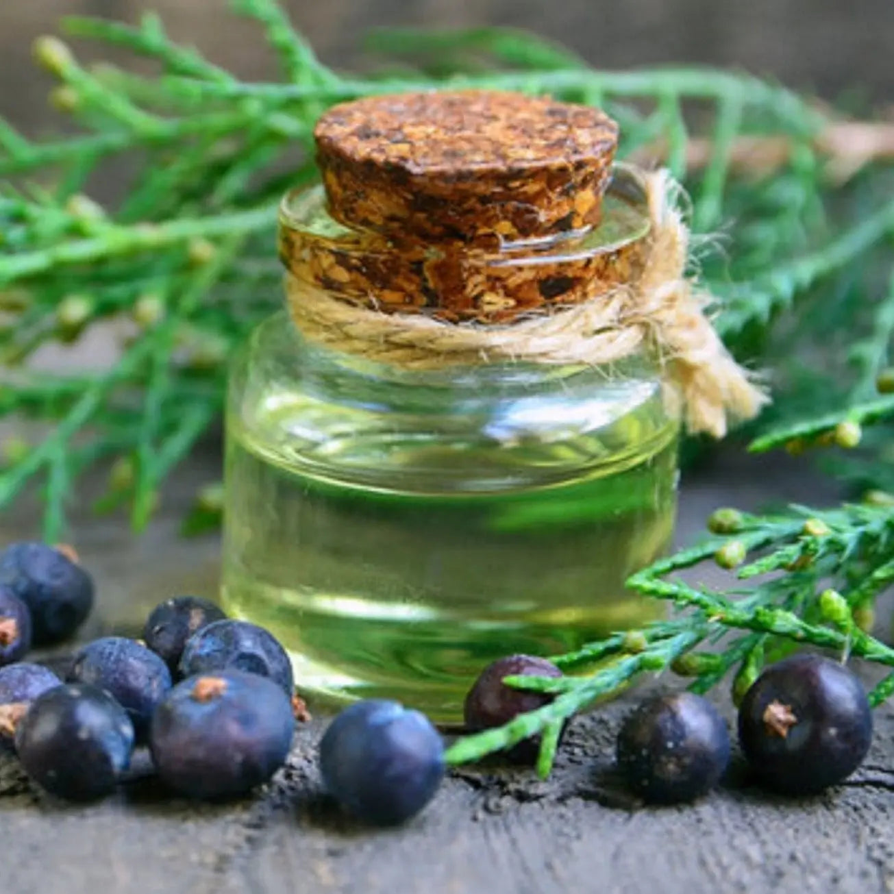 Juniper Leaf Oil - Juniperus Communis Product vendor