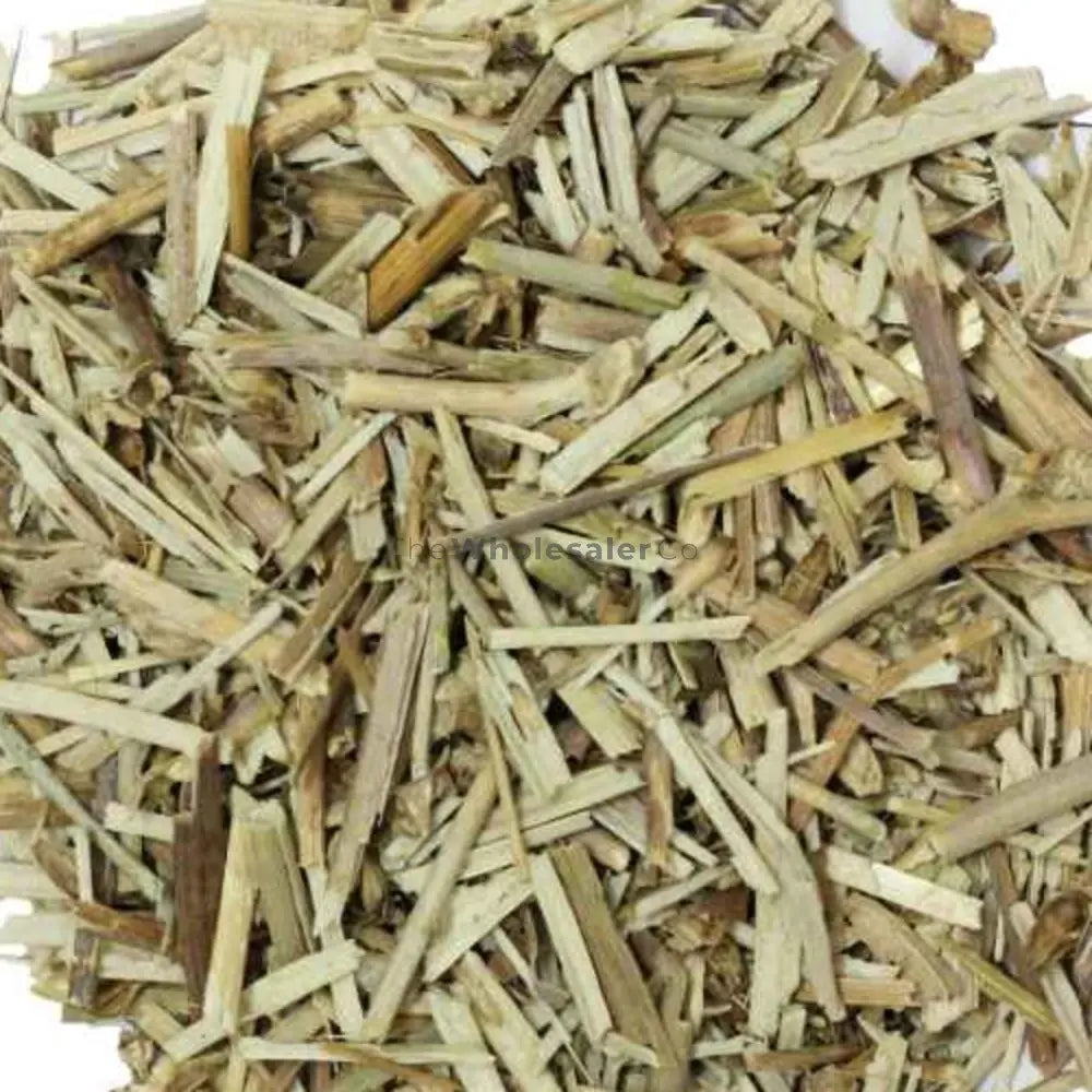 Kasni - Chicory - Cichorium intybus | TheWholesalerCo