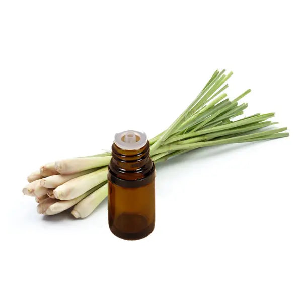 Lemongrass Oil - Cymbopogon Product vendor