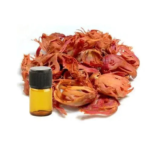 Mace Oil (Javitri) - Myristica fragrans Product vendor