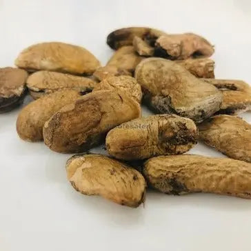 Mango Seed Kernel - Mangifera Indica- Bulk Supplier@TheWholesalerCo ...