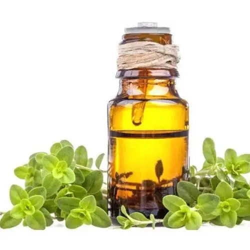 Marjoram Oil - Origanum majorana Product vendor