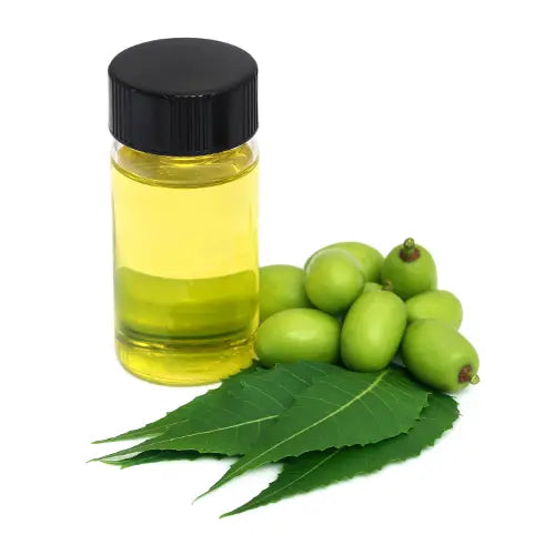 Neem Oil - Azadirachta indica Product vendor