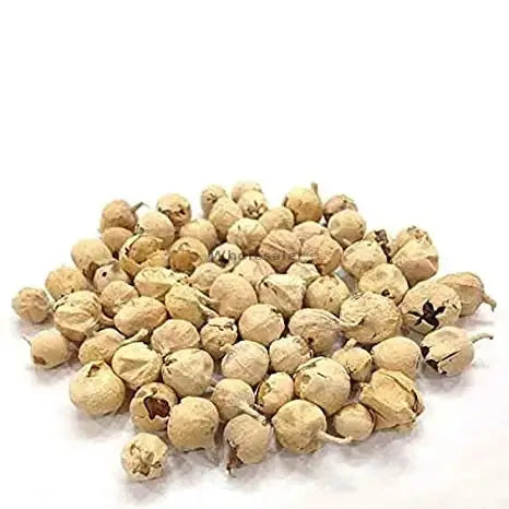 Paneer Dodi - Paneer Ke Phool - Withania Coagulan | TheWholesalerCo