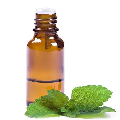 Peppermint Oil - Mentha piperita Product vendor