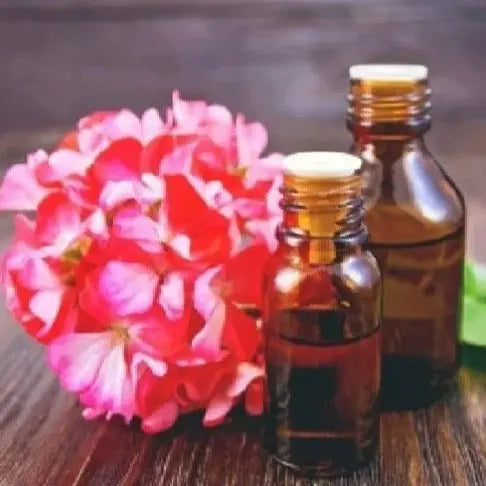 Rose Geranium Oil - Pelargonium rosium Product vendor