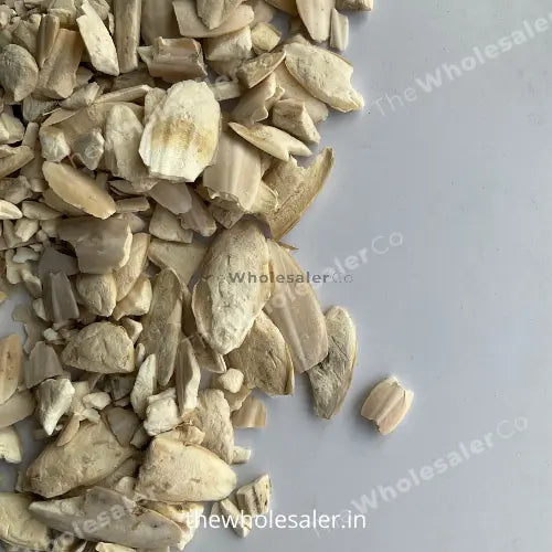 Samandar Jhag - Sea Foam - Samunder Fan - Cuttle fish - TheWholesalerCo