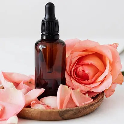 Tea Rose Oil - Rosa hybrid Product vendor