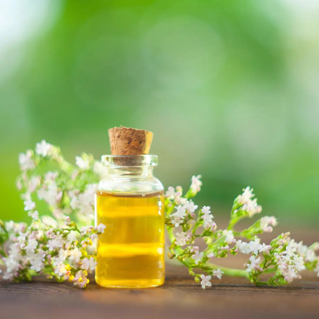 Valerian Oil - Valeriana wallichi Product vendor