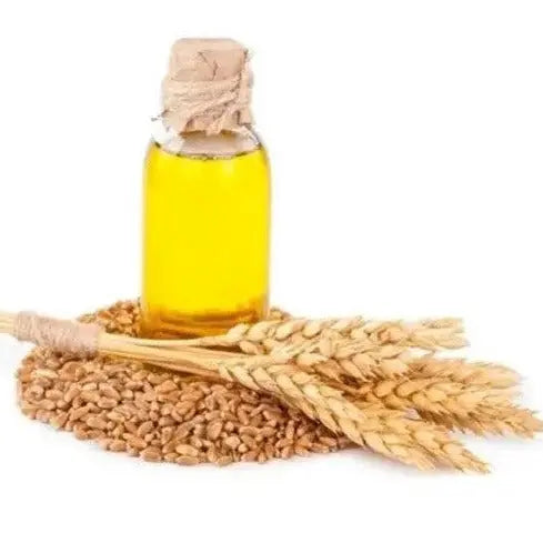 Wheat germ Oil - Triticum aestivum Product vendor