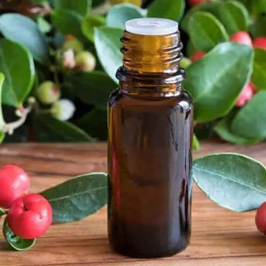 Wintergreen Oil - Gaultheria procumbens Product vendor